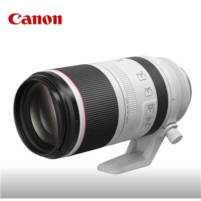 佳能（Canon）RF100-500mm F4.5-7.1 L IS USM 镜头 远摄变焦镜头 微单镜头（支持全画幅EOS R系统）